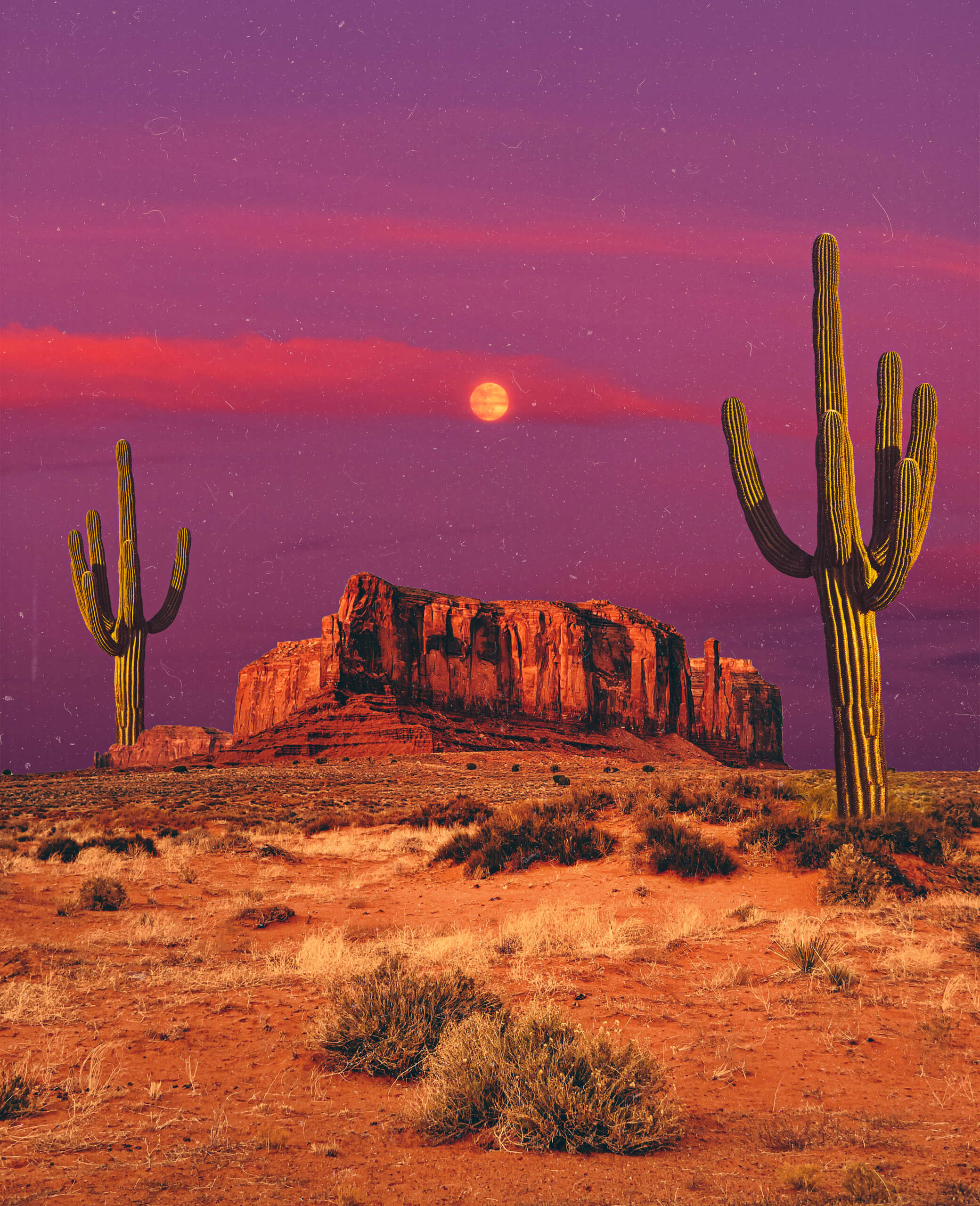 Barren Desert, 2022