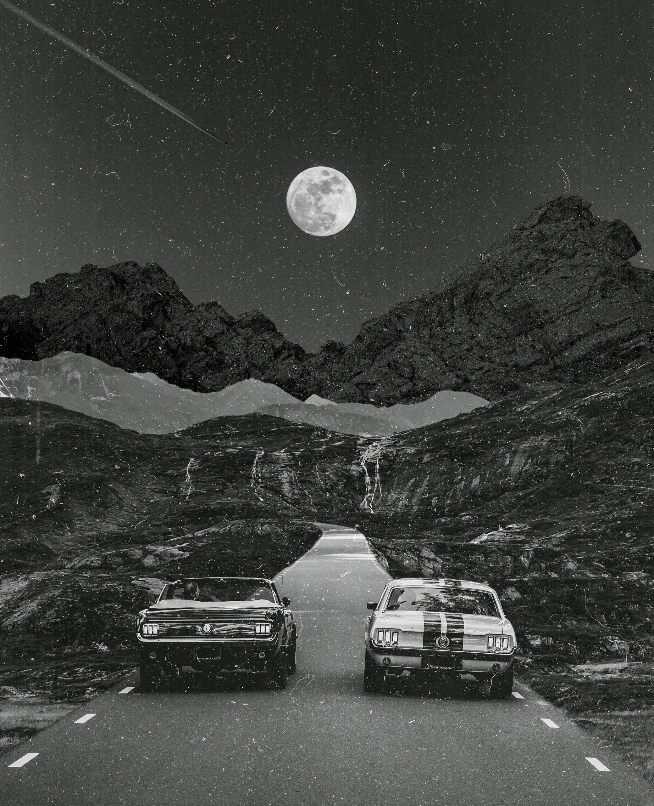 Film Noir, 2022