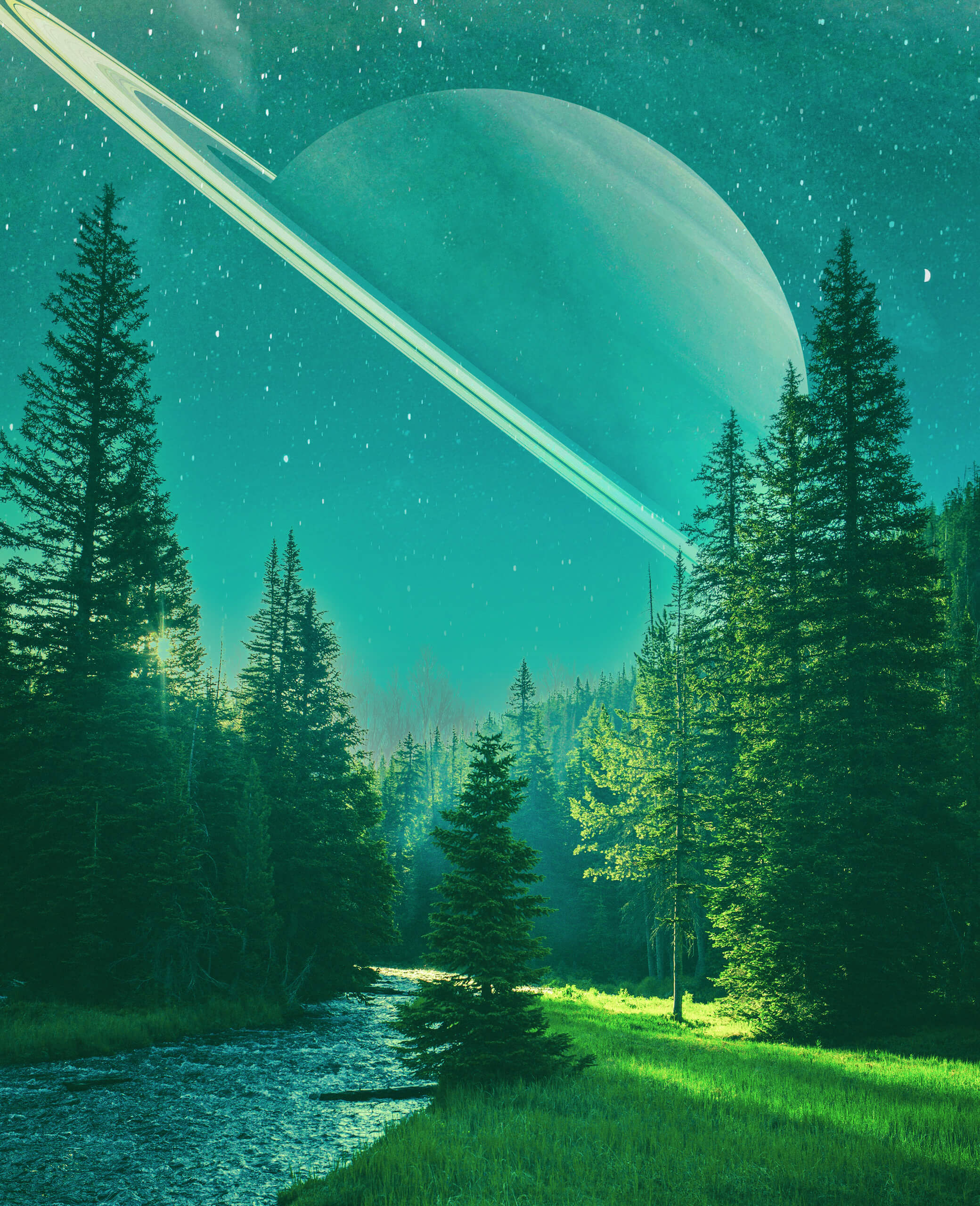 Float, 2021