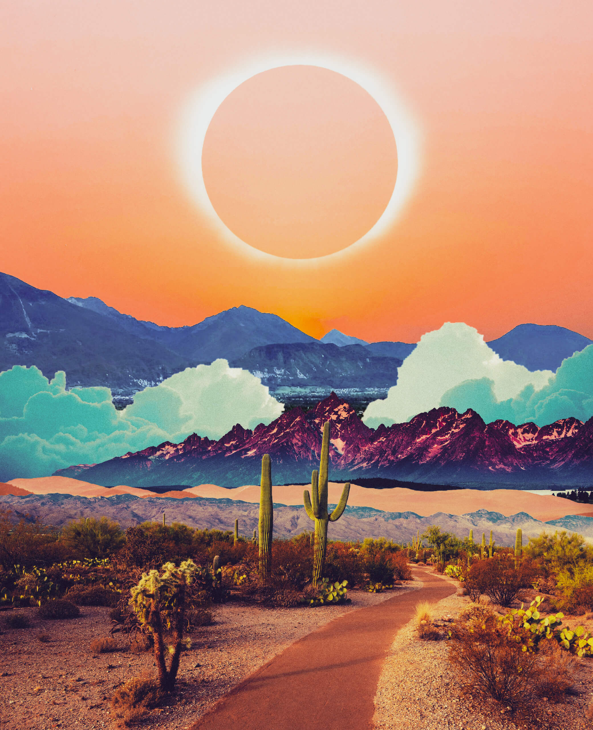 Midnight Sun