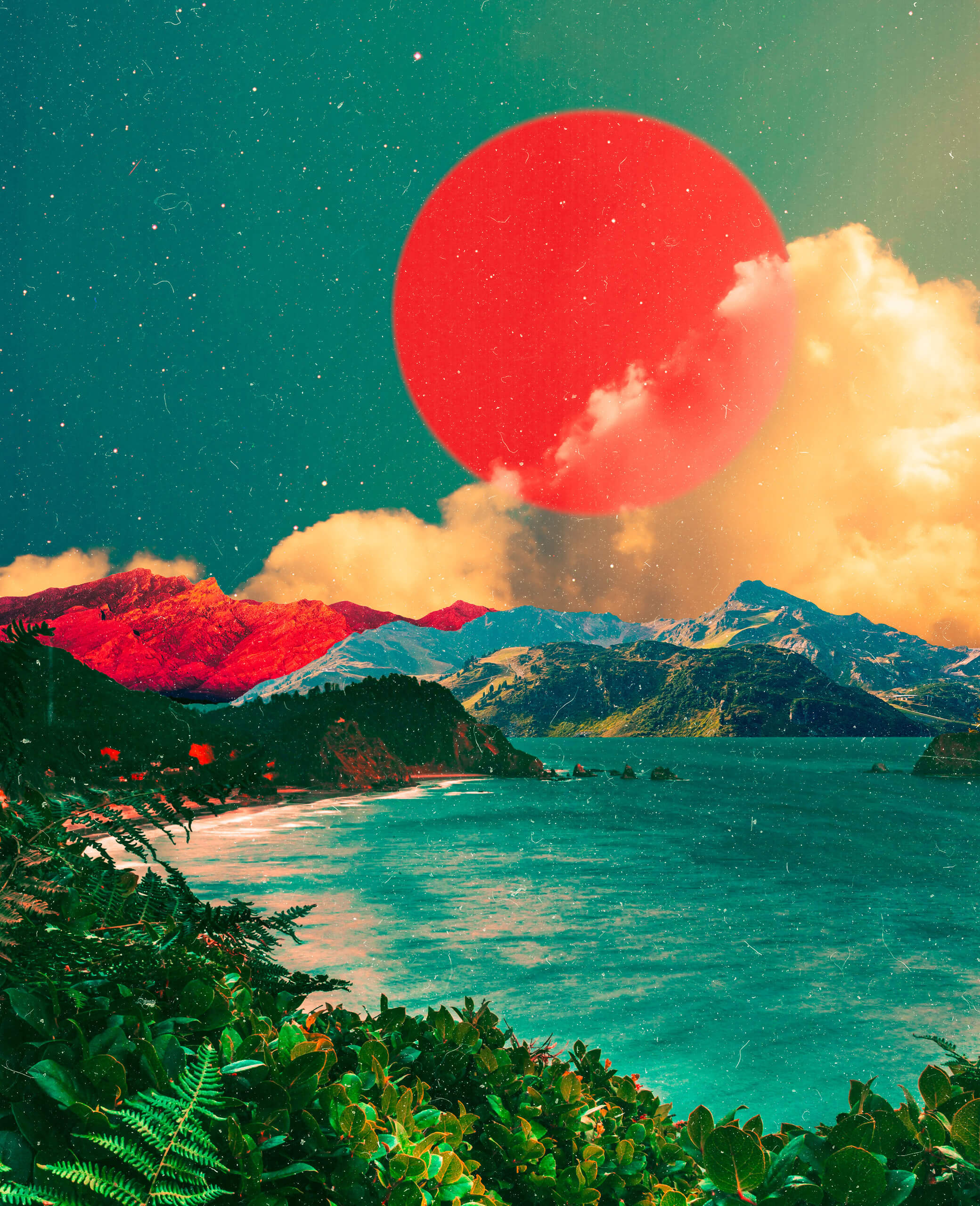 tropicalcliff, 2022