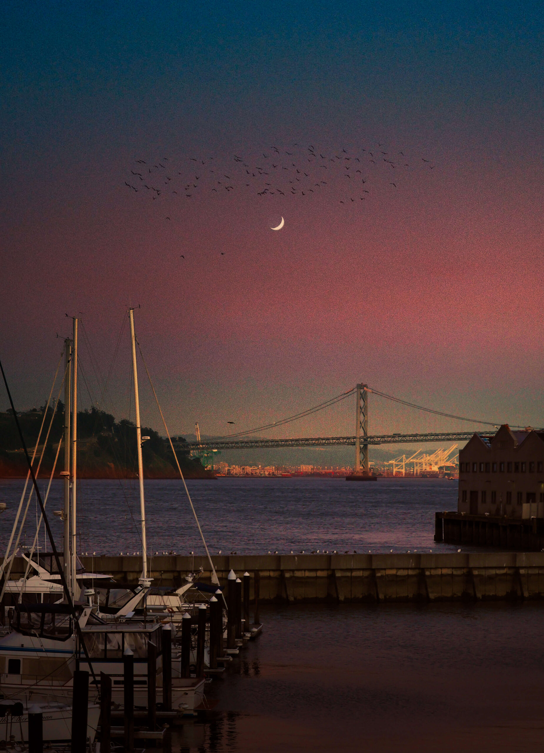 Blue Hour Postcard, 2025 copy