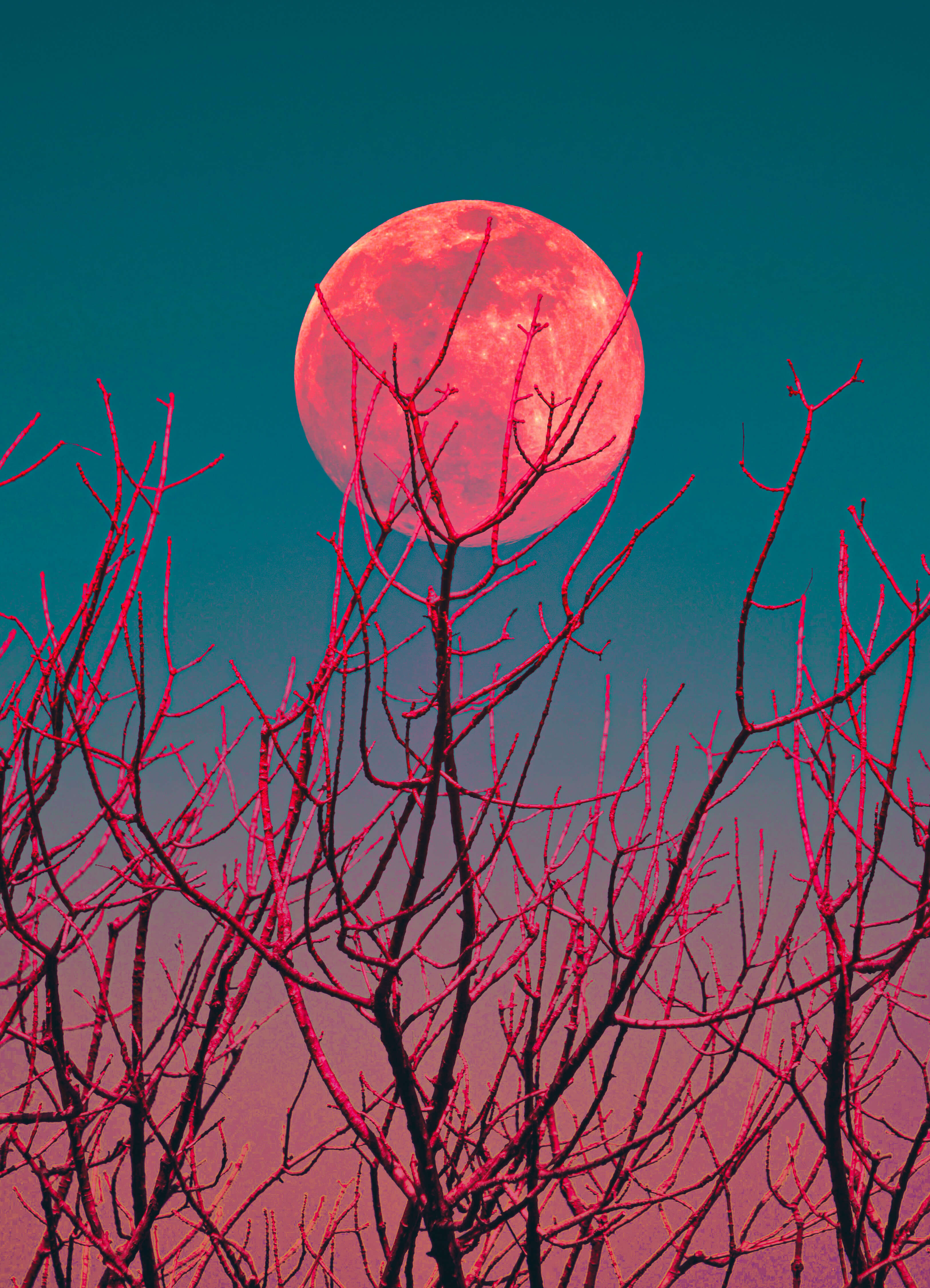 barbie moonrise, 2024