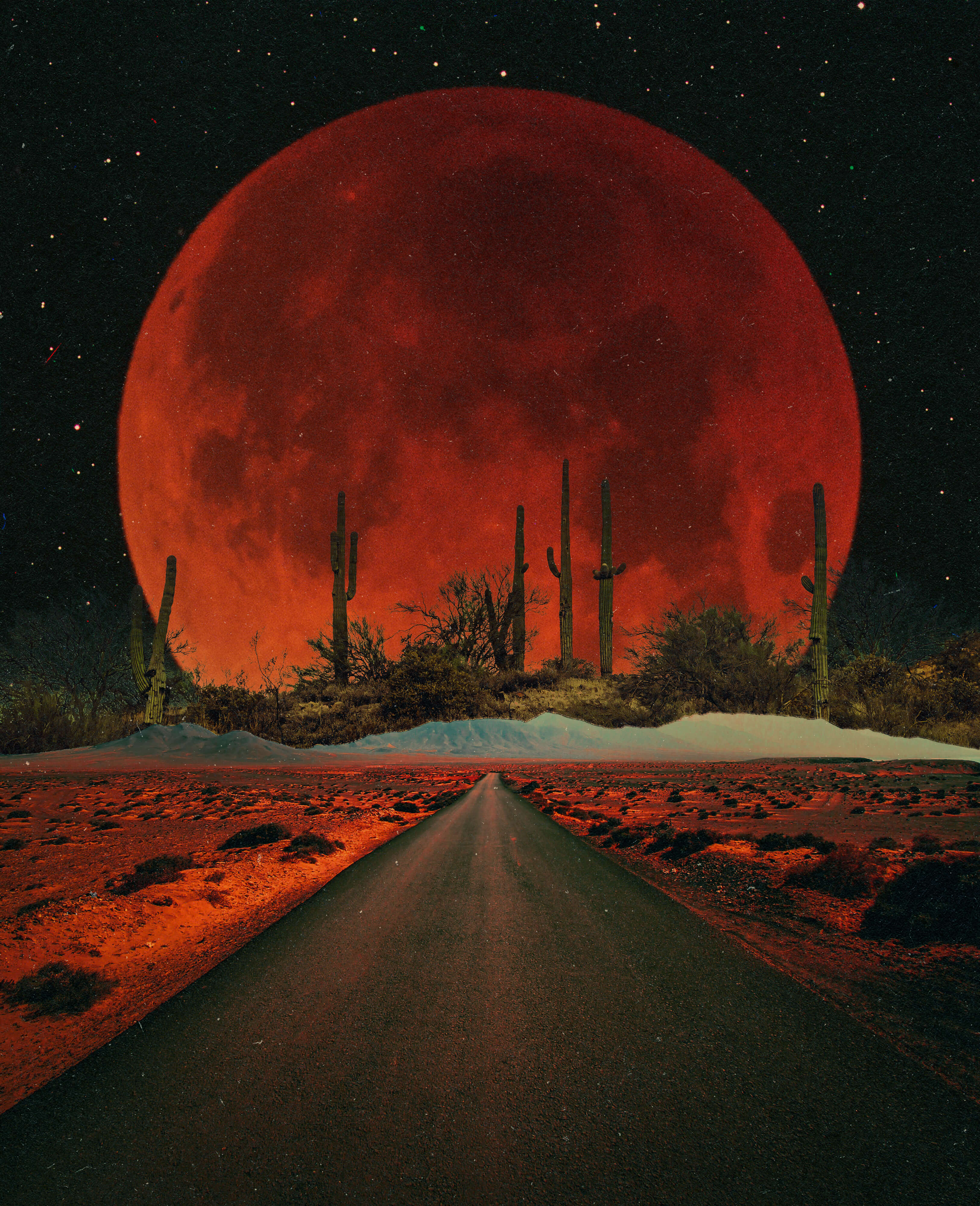dark desert highway, 2024