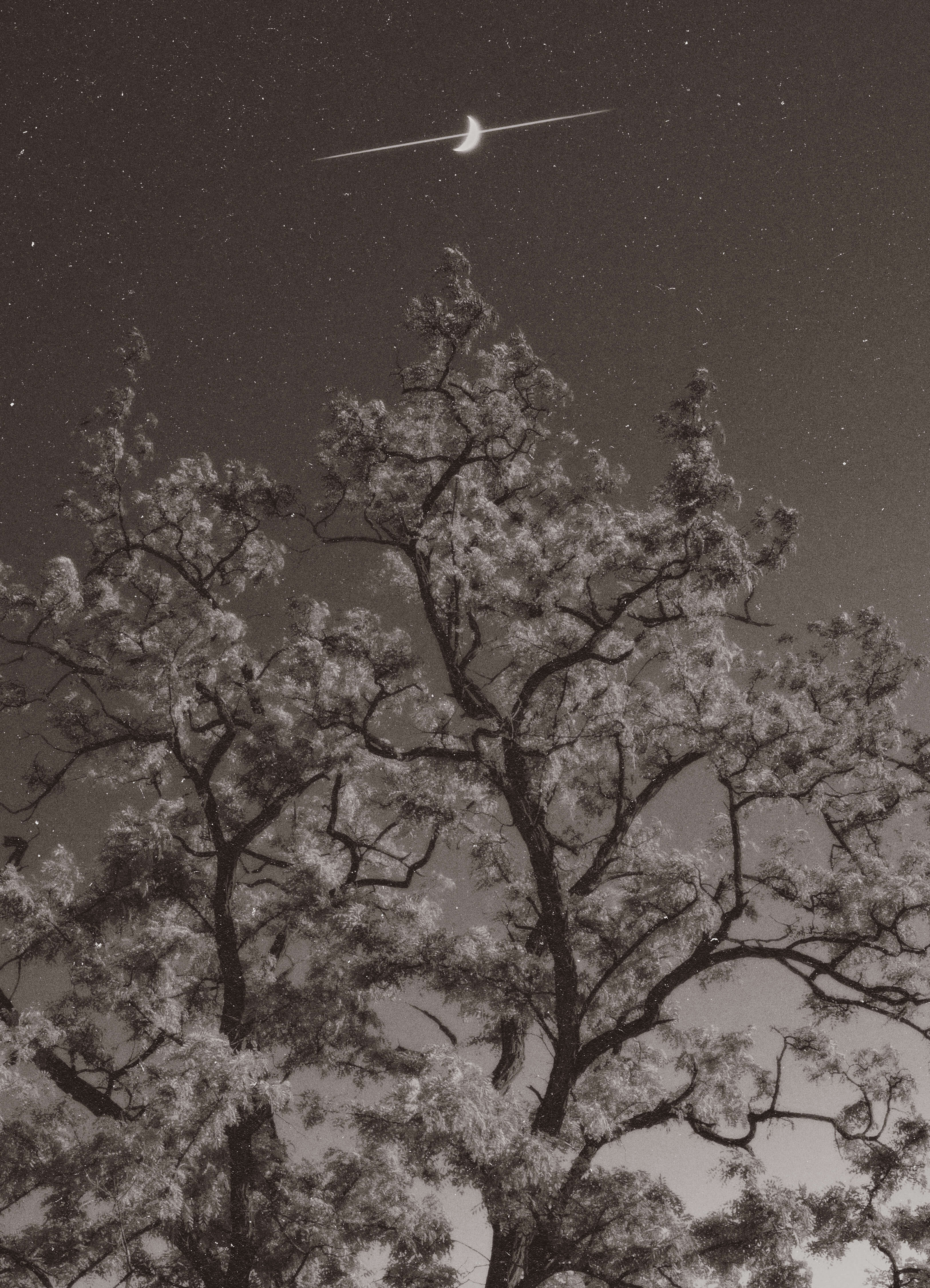 hot summer night, 2024