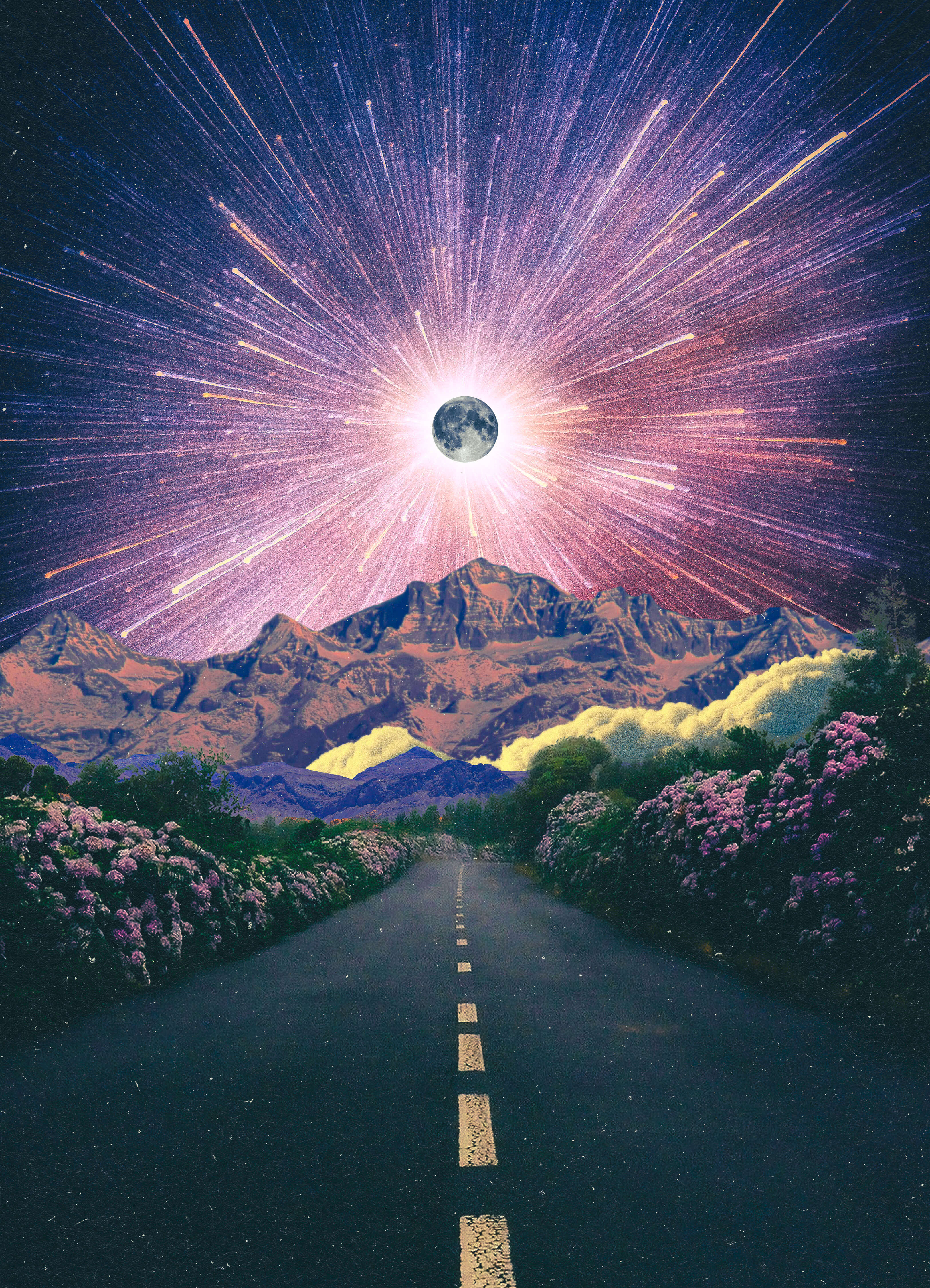 purple twilight, 2024