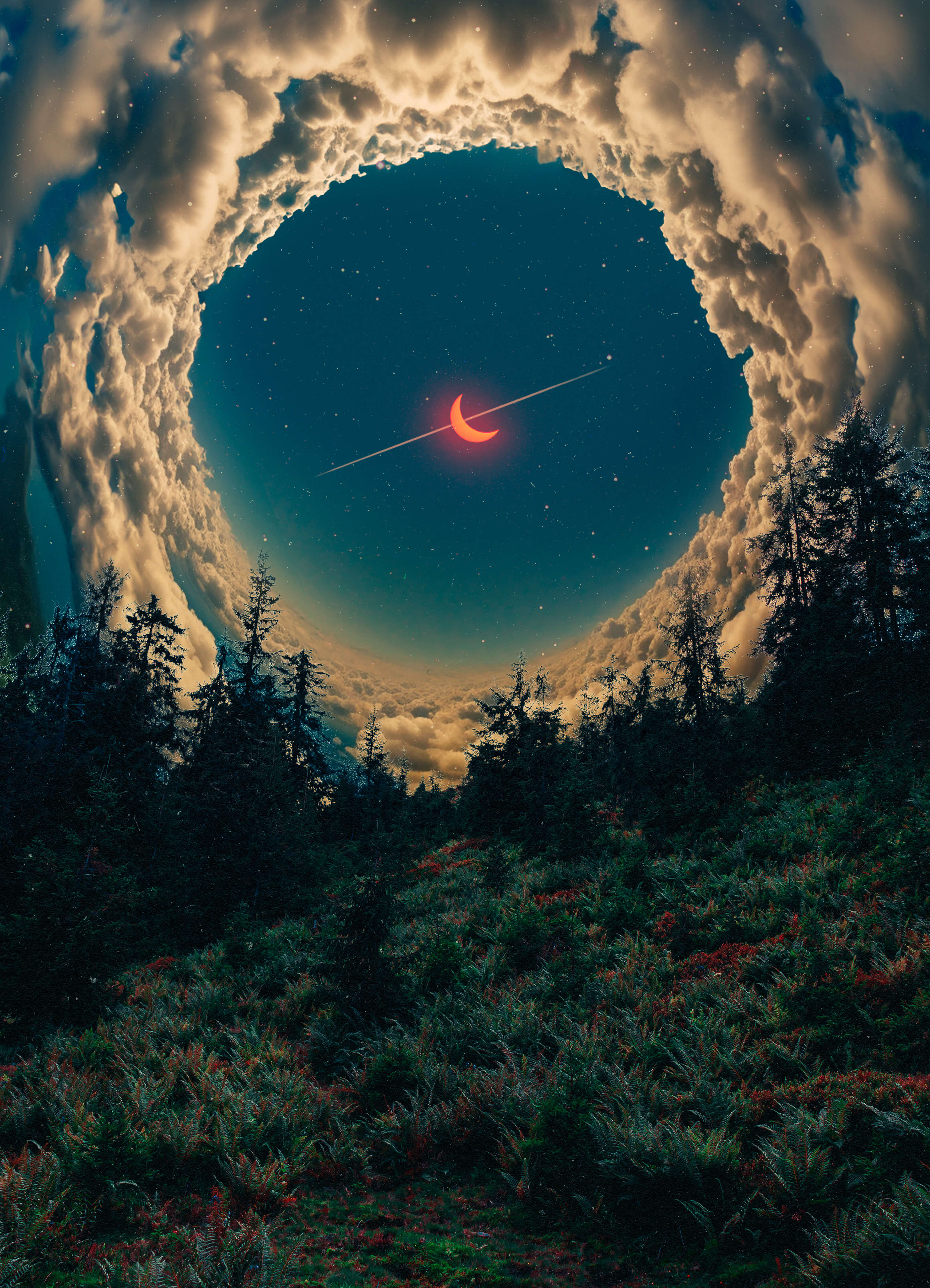 shooting star from a bugs perspective, 2024
