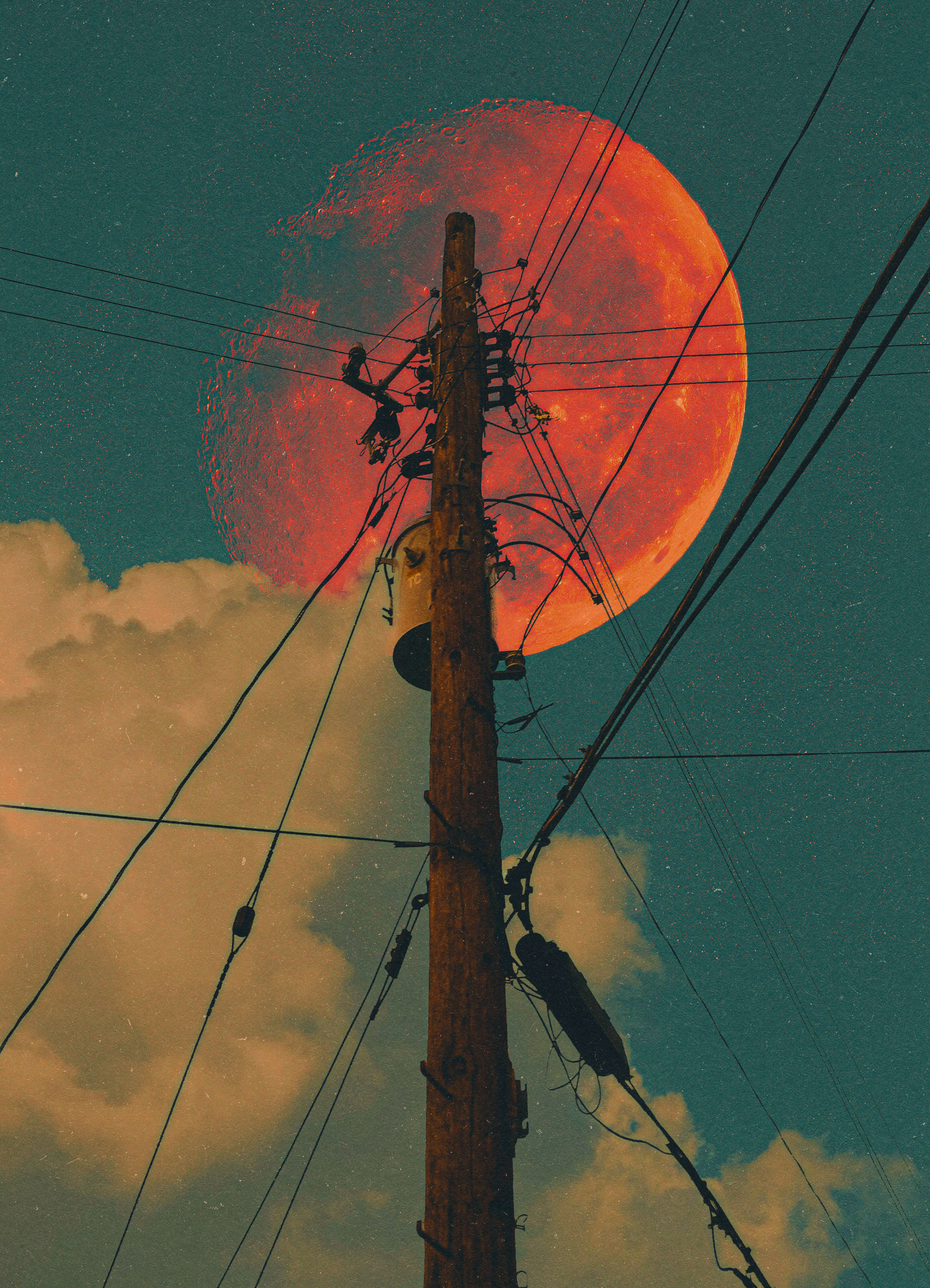 sizzling like a snare, 2024